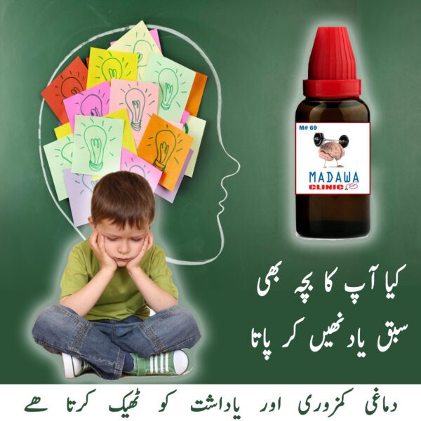 Brain Strenth Course